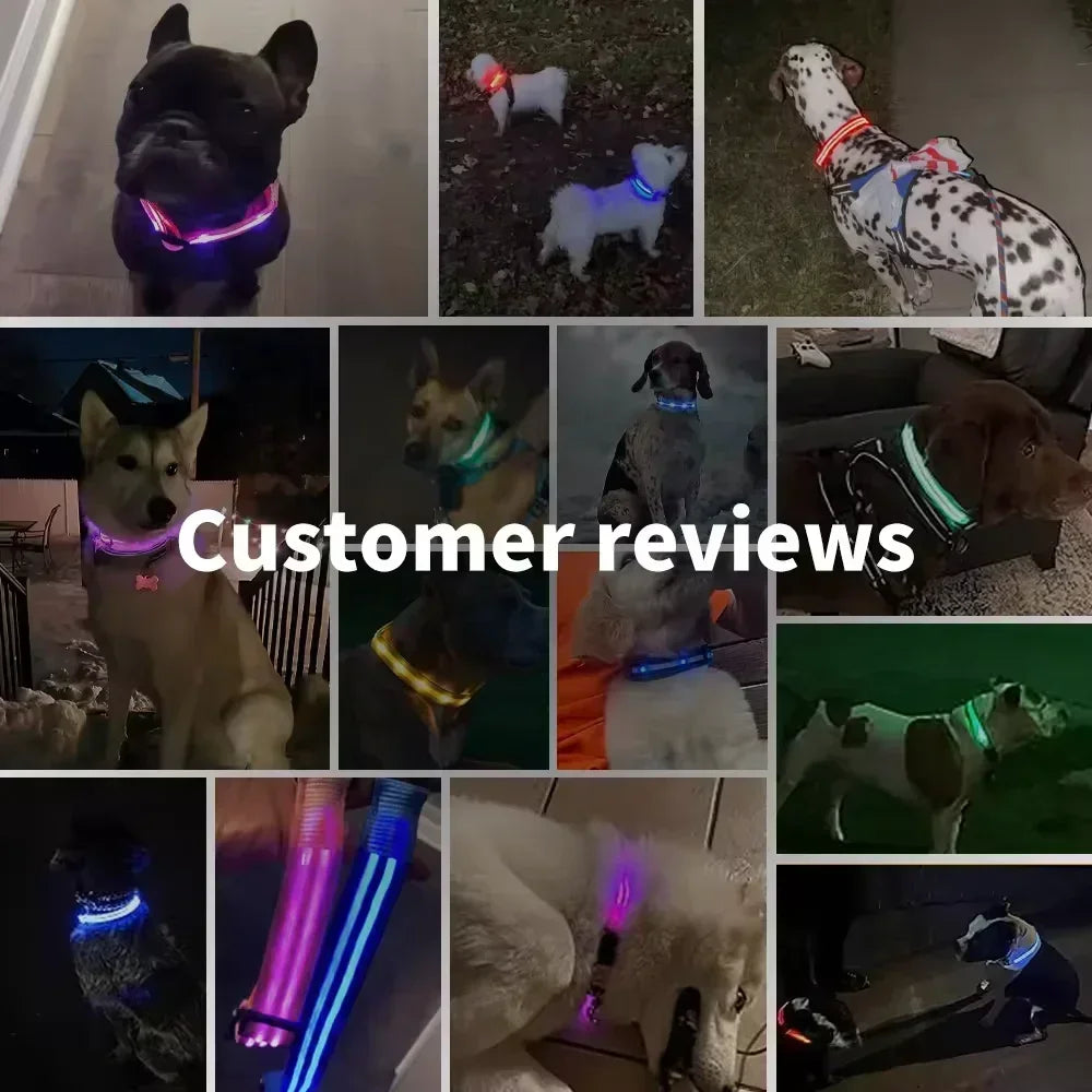 Adjustable Glowing Dog Collar