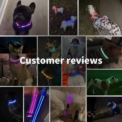 Adjustable Glowing Dog Collar