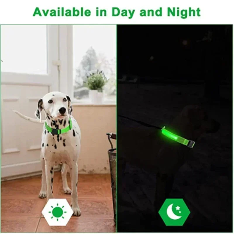 Adjustable Glowing Dog Collar